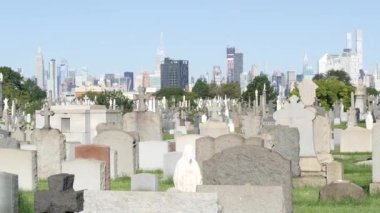 New York, ABD - 14 Eylül 2023: ABD 'deki Calvary Mezarlığı. Manhattan şehir merkezi siluet şehir mimarisi. Mezar taşları, büyük mezarlıklar. Geniş mezarlık çimenleri.