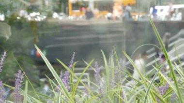 New York, ABD - 11 Eylül 2023 Manhattan Lexington Bulvarı, ABD. Odaklanamayan insanlar, yeraltı metro istasyonu, 53 caddedeki merdivenler, şehir merkezi. Yeşiller.