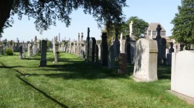 New York, ABD - 14 Eylül 2023: ABD 'deki Calvary Mezarlığı. Manhattan Şehir Merkezi, şehir merkezi silueti mimarisi. Mezar taşları, büyük mezarlıklar. Geniş mezarlık çimenleri.