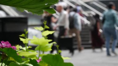 New York, ABD - 11 Eylül 2023 Manhattan Lexington Bulvarı. Metro istasyonundan çıkan yoldan çıkmış, 53. Cadde 'deki merdivenler, Amerikan şehir hayatı. Park yeşili, çiçekler..