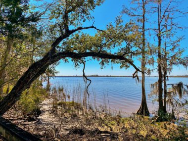 Blakeley Eyalet Parkı İspanya Kalesi, Alabama