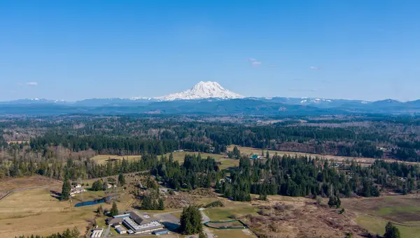 Veduta Aerea Del Monte Rainier All Orizzonte Nello Stato Washington — Foto Stock