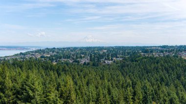 Tacoma, Washington 'daki Rainier Dağı ve Point Defiance' ın hava görüntüsü 