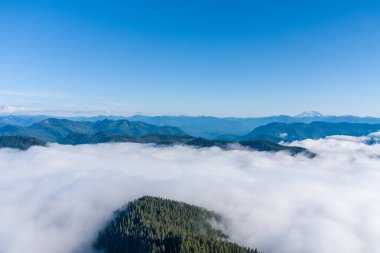 Washington 'daki bulutların üzerinde Rainier Dağı ve High Rock Gözcüsü 