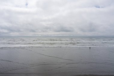 Seabrook, Washington 'da Pasifik sahilinde sisli bir gün. 