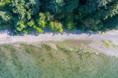Olympia, Washington 'daki Tolmie State Park' tan Puget Sound. 