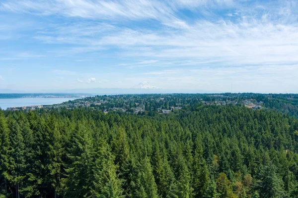 Luchtfoto Van Mount Rainier Point Defiance Tacoma Washington — Stockfoto