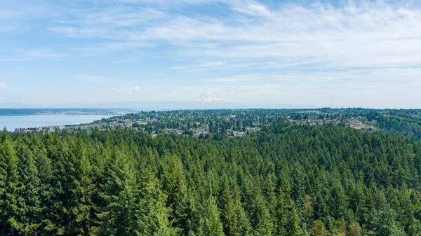Вид Висоти Rainier Point Defiance Tacoma Washington — стокове фото