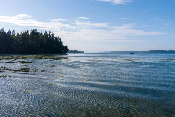 Stock image Puget Sound from Tolmie State Park in Olympia, Washington 