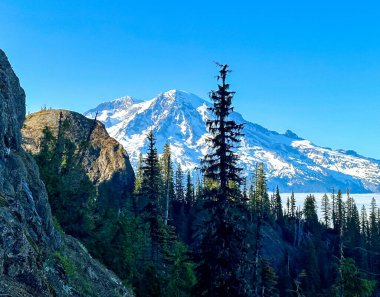 WA Ashford 'daki High Rock Gözcüsü' nden Rainier Dağı.