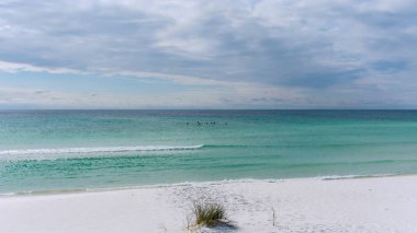 Ekim 'de Pensacola, Florida' daki sahilin havadan görüntüsü.