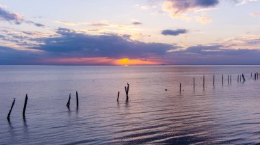 Günbatımında Mobile Körfezi 'ndeki eski sütunlara tünemiş pelikanlar.