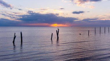 Günbatımında Mobile Körfezi 'ndeki eski sütunlara tünemiş pelikanlar.