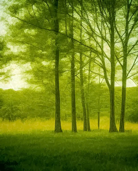 Feld Und Bäume Vektorillustration Wildlife Hintergrundvorlage — Stockvektor