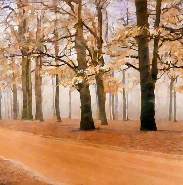 Paisagem Caminho Florestal Outono Com Árvores Ilustração Fundo Vetor —  Vetores de Stock