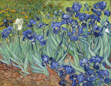 Vincent van Gogh 'un süsen çiçekleri, 188