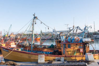 Mar del Plata limanında balıkçı tekneleri