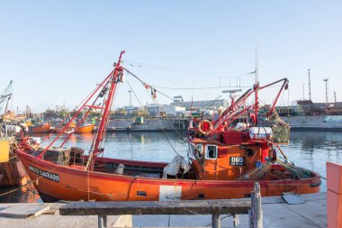 Mar del Plata limanında balıkçı tekneleri