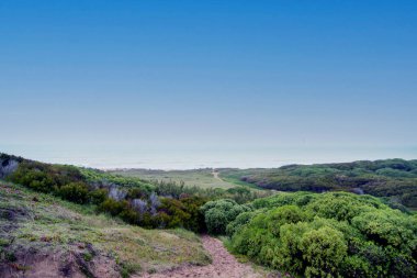 Buenos Aires 'teki Miramar sahili, Arjantin