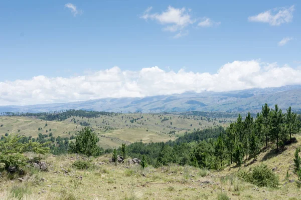 Vegetation landscape in the Sierras de Cordoba in Argentina