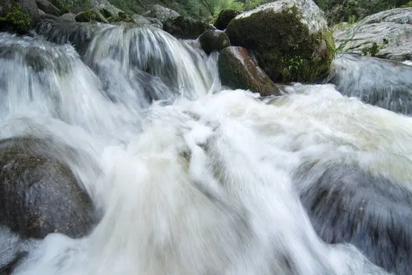 Górska Rzeka Płynąca Szybko Koryta Skał Lesie — Zdjęcie stockowe