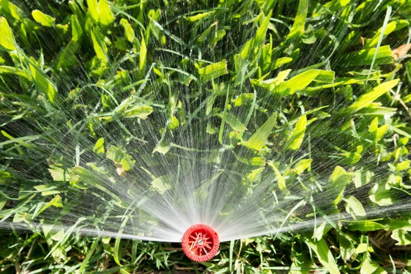 Giardino Irrigatore Irrigazione Prato — Foto Stock