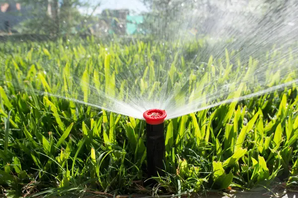 Garden Sprinkler Watering Lawn Royalty Free Stock Photos