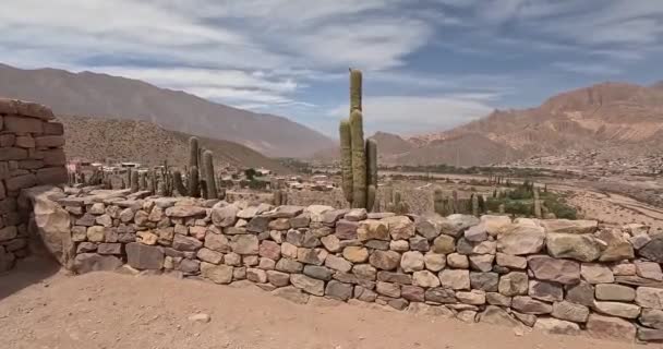 Cardon Kaktüsü Jujuy Eyaleti Arjantin Deki Quebrada Humahuaca — Stok video