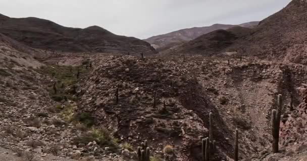 Ορεινό Τοπίο Στην Tilcara Επαρχία Jujuy Αργεντινή — Αρχείο Βίντεο