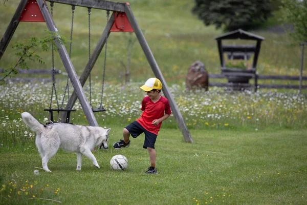 Hübscher Kleiner Junge Spielt Mit Seinem Husky Hund Und Ball Stockfoto