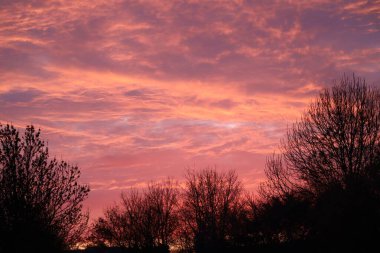 Sıcak Gündoğumu Kış Siluetinde