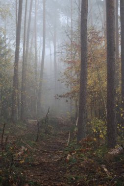 Harvester leaves Trail of Devastation