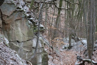 Rock path in a Gorge in Winter