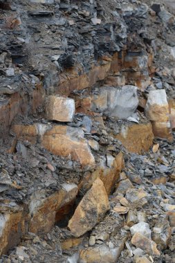 Gri Sayfalı Kahverengi Bitki Katmanları