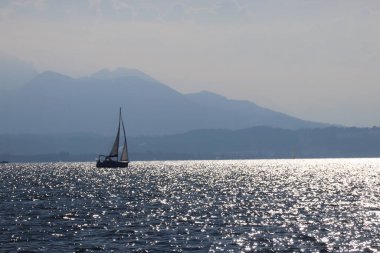 Seidelding on Sea in the Backlight