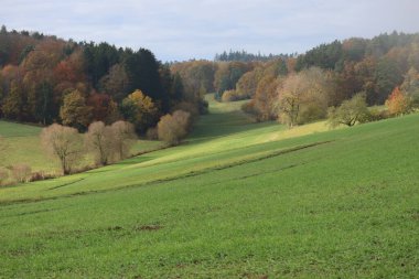Tarlalar renkli ormana doğru iniyor.