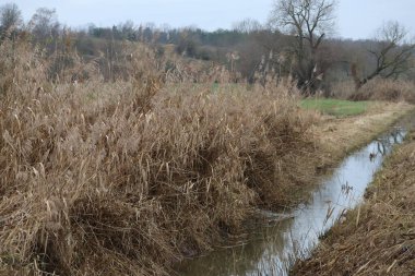 Tarım için kısmen temizlenmiş sulama hendeği