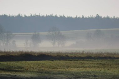 Yer sisi bir tarlada devam ediyor