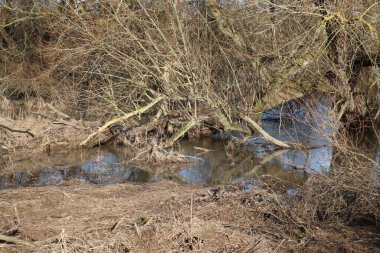Şiddetli su baskınından sonra banka alanı tamamen yıkıldı