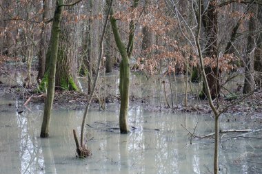 Bahar fırtınalarından sonra sızmayan yağmur suyu.