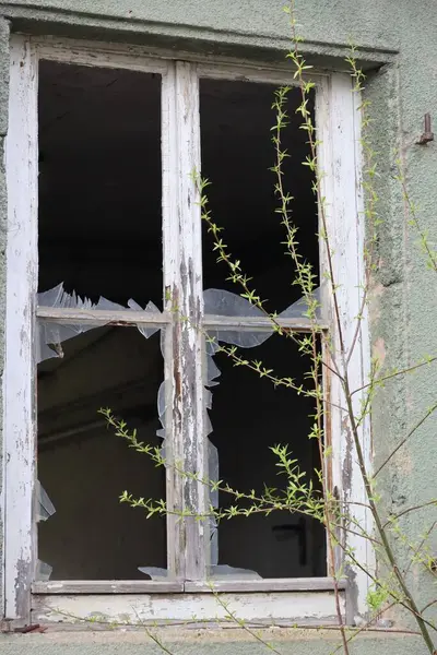 Uzun Zamandır Kırılmamış Bir Pencere — Stok fotoğraf