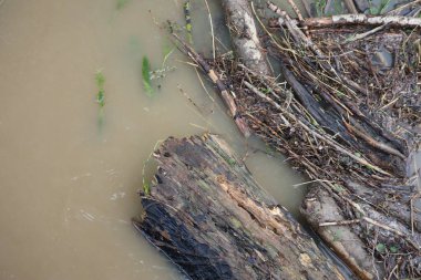 Keskin kenarlı tufan enkazı yolunu bulur.