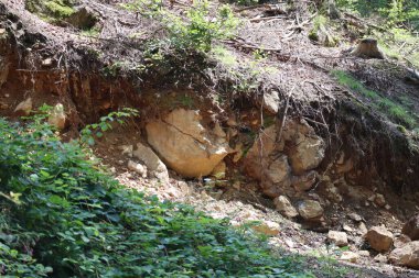 Toprağı yukarıdan görmek zor.