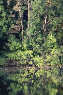 Pürüzsüz su yüzeyi Sabah hayrete düşürür