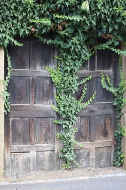 ahşap arka giriş Ivy ile kaplanmış.