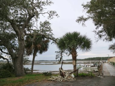 Eski bir ahşap balıkçı teknesi güney Carolina 'da bataklıkta bir rıhtıma demirlenmiş palmiye ağaçları, palmiyeler ve ön planda birbirine dolanmış iplerin altında paslı bir çapa ile.. 