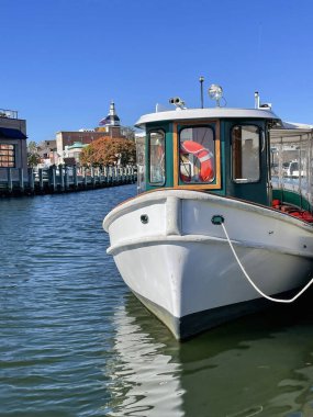 Annapolis, Maryland şehir merkezindeki limanda güneşli bir sonbahar sabahında küçük, güzel, yeşil ve beyaz bir tekne demirlemiş durumda..