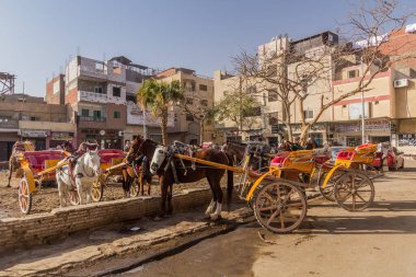 CAIRO, EGYPT - 31 Ocak 2019: Kahire, Mısır 'da Giza Mahallesi' nde turist bekleyen at arabaları