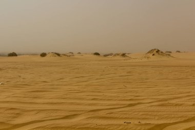 Bahariya vahası yakınlarındaki çöl, Mısır