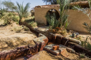 Bahariya vahasında çöl kaplıcası, Mısır